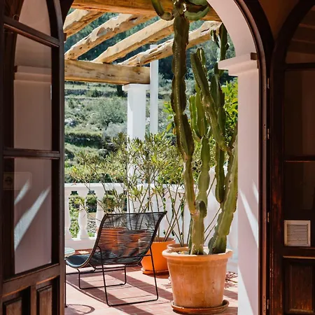 Valley Club - Ibiza Отель 4*