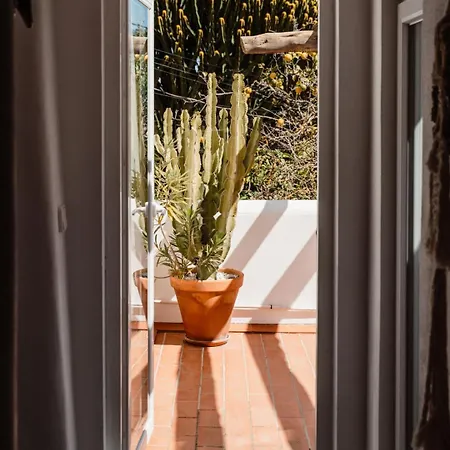 Valley Club - Ibiza 4*